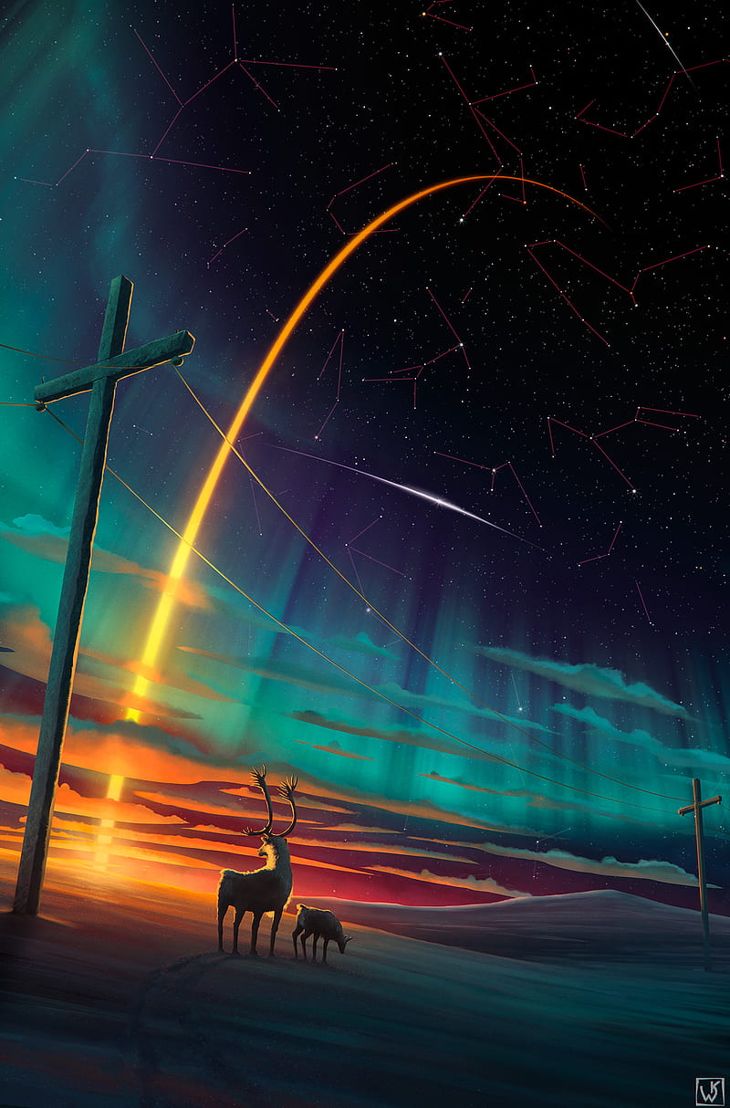 deer, night, art, starry sky, meteorite, HD phone wallpaper