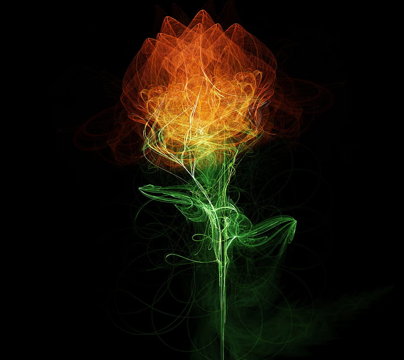 Fire Rose, sparklers, HD wallpaper