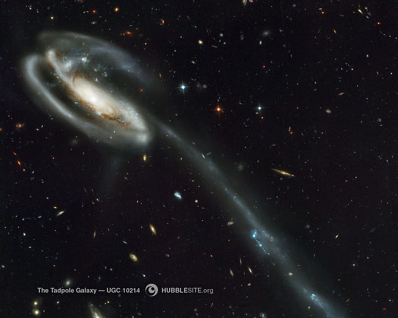 Tadpole Galaxy, space, starts, galaxy, HD wallpaper