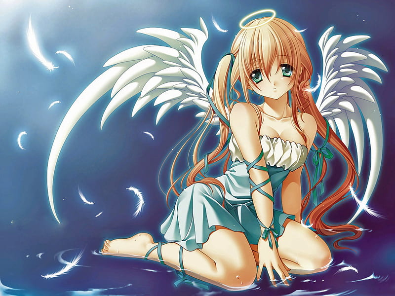 Beautiful Angel, halo, anime, white wings, beauty, gloriole, HD wallpaper