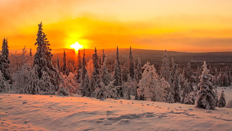 Fiery sunset in Lapland, north, sun, fiery, Lapland, snow, sunset, sky, winter, bonito, HD wallpaper