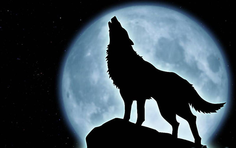 Howling Wolf, moon, wolf, dogs, howling, HD wallpaper
