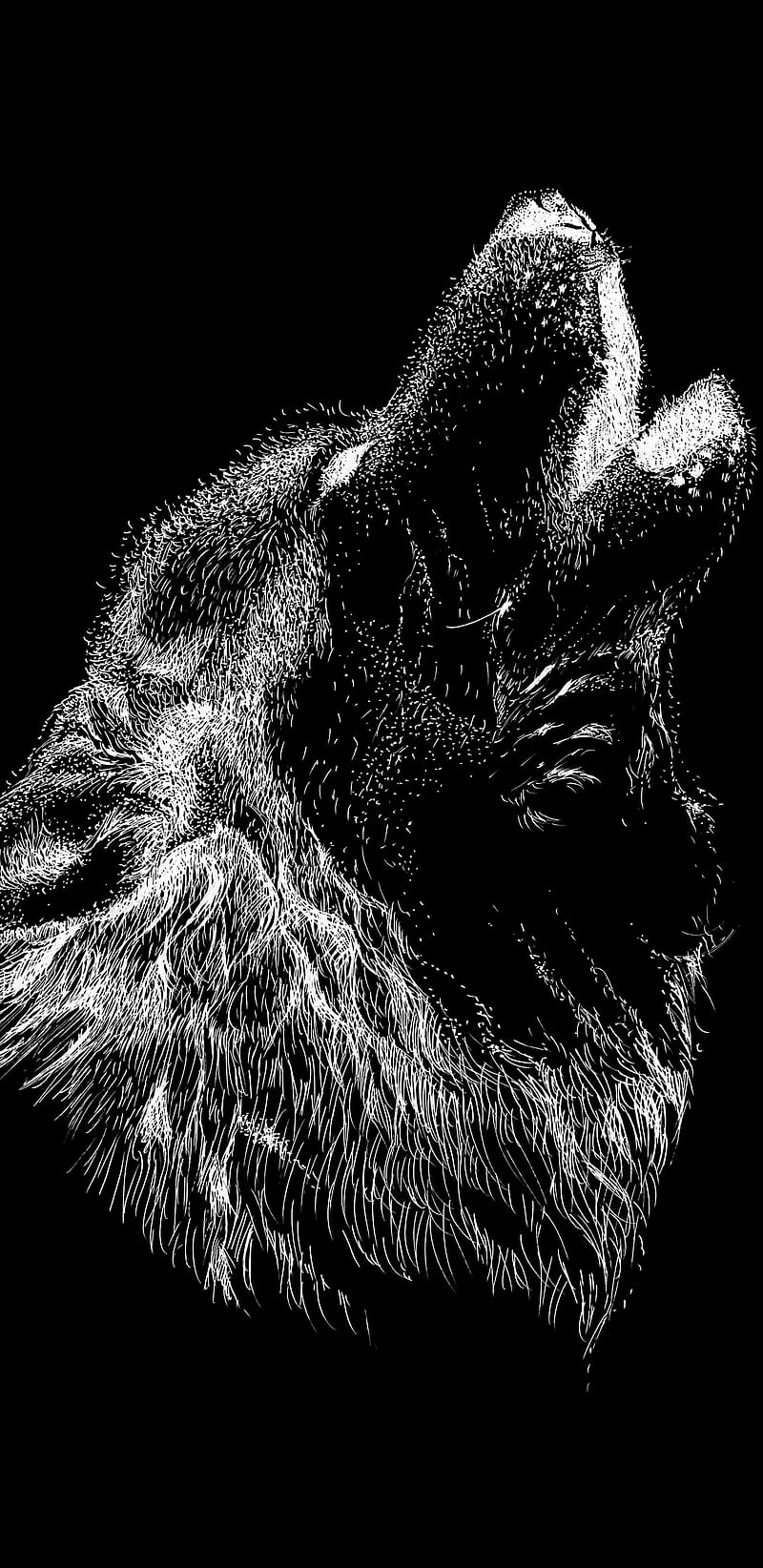 Wolf Amoled, black, dark, drawing, howl, steamroom, wolves, HD phone wallpaper