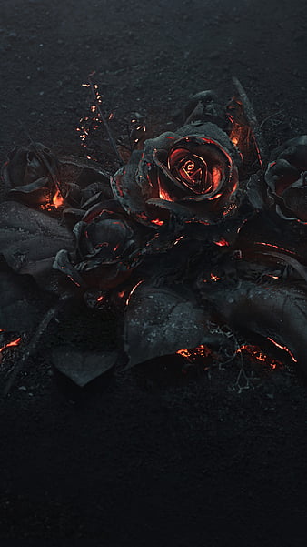 burning roses, black, burn, dark, fire, rose, HD phone wallpaper