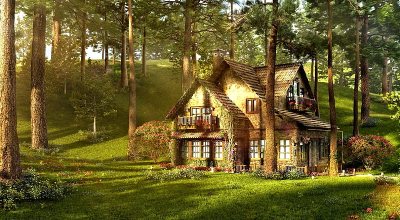 Forest House, Tree, Forest, House, Nature, HD wallpaper