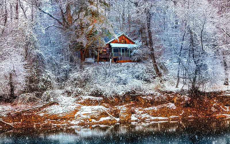 Nestled into Winter, forest, cabin, trees, snow, HD wallpaper