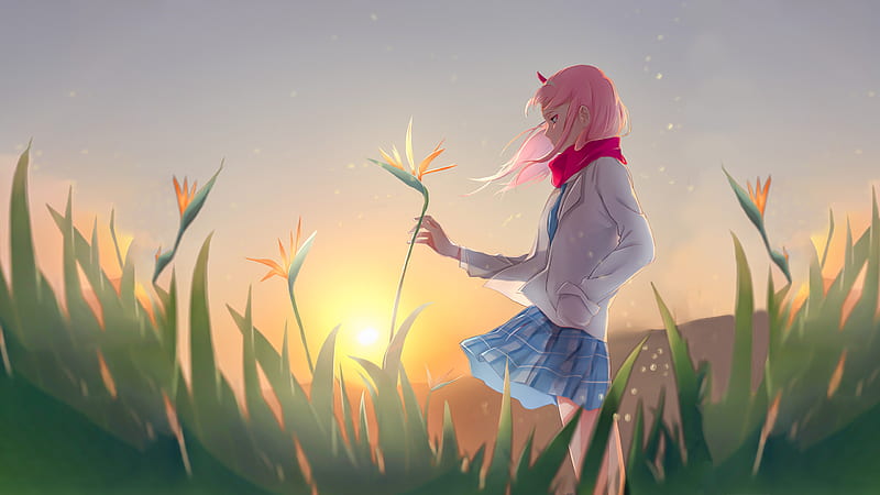 darling in the franxx pink hair zero two with red scarf is touching yellow flower in sunbeam background anime, HD wallpaper