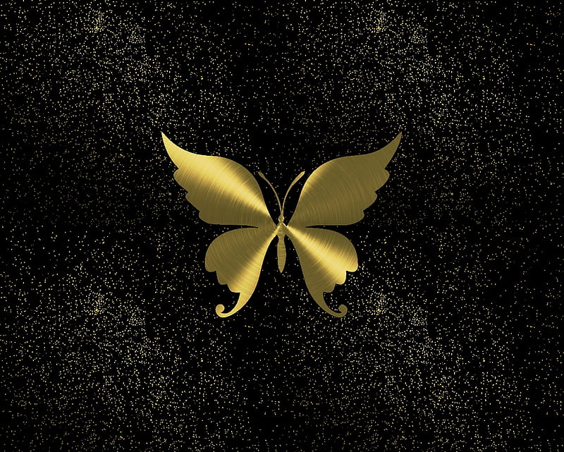 butterfly gold night sky, gizzzi, gold, night sky, butterfly, labrano, HD wallpaper