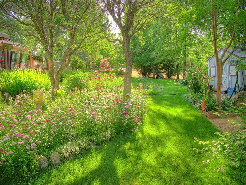 My Dads Backyard, flowers, grass, backyard, HD wallpaper