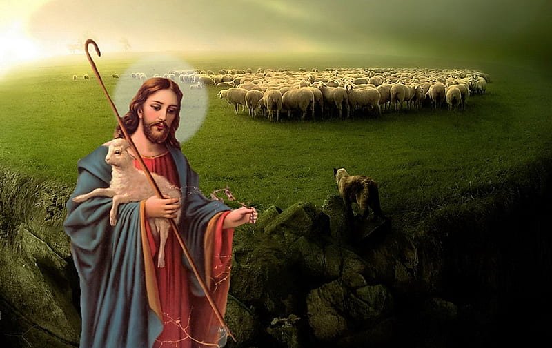 Jesus my good shepherd, christ, sheep, jesus, shepherd, flock, HD wallpaper  | Peakpx