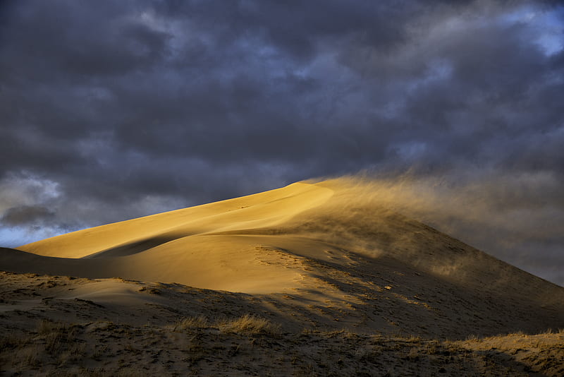 Desert, dune, sand, wind, HD wallpaper | Peakpx