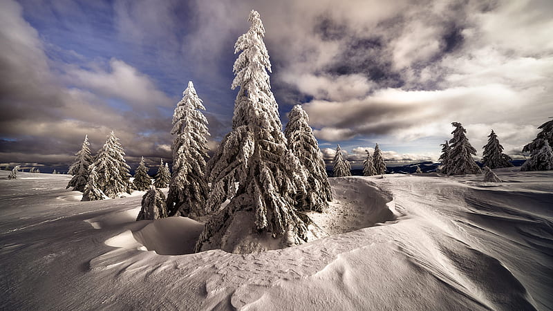 Trees And Landscape Covered With Snow Under Sky With Clouds Winter, HD wallpaper