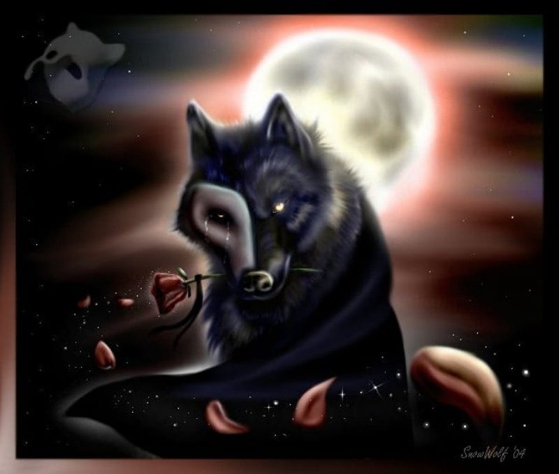 Lobo enamorado, negro, lobo, rosa, amor, Fondo de pantalla HD | Peakpx