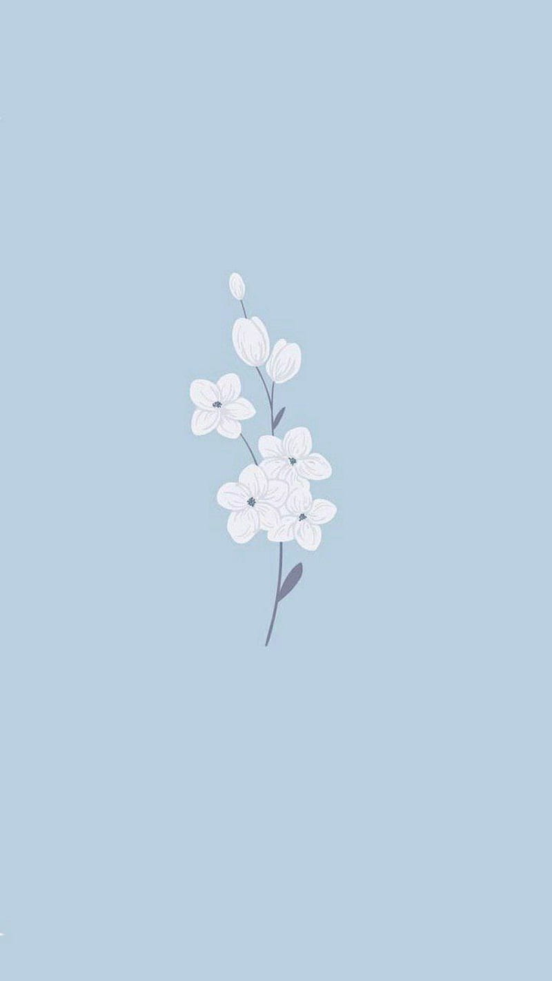 Cute Blue Spring, Pretty Blue Flower, HD phone wallpaper | Peakpx