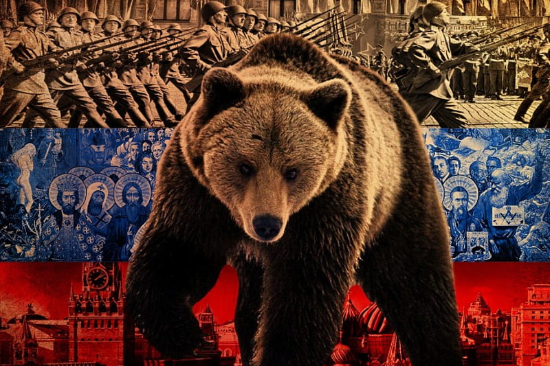 bear, big, animals, HD wallpaper