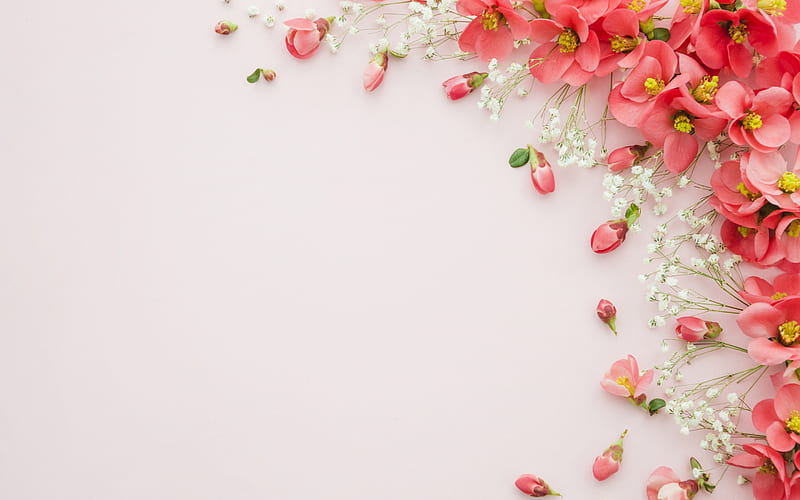 floral background, paper texture, background with red flowers, pink background, floral frame, HD wallpaper