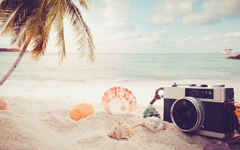 summer travel, concepts, sand, beach, camera, beach accessories, seashells, palm trees, sunset, HD wallpaper