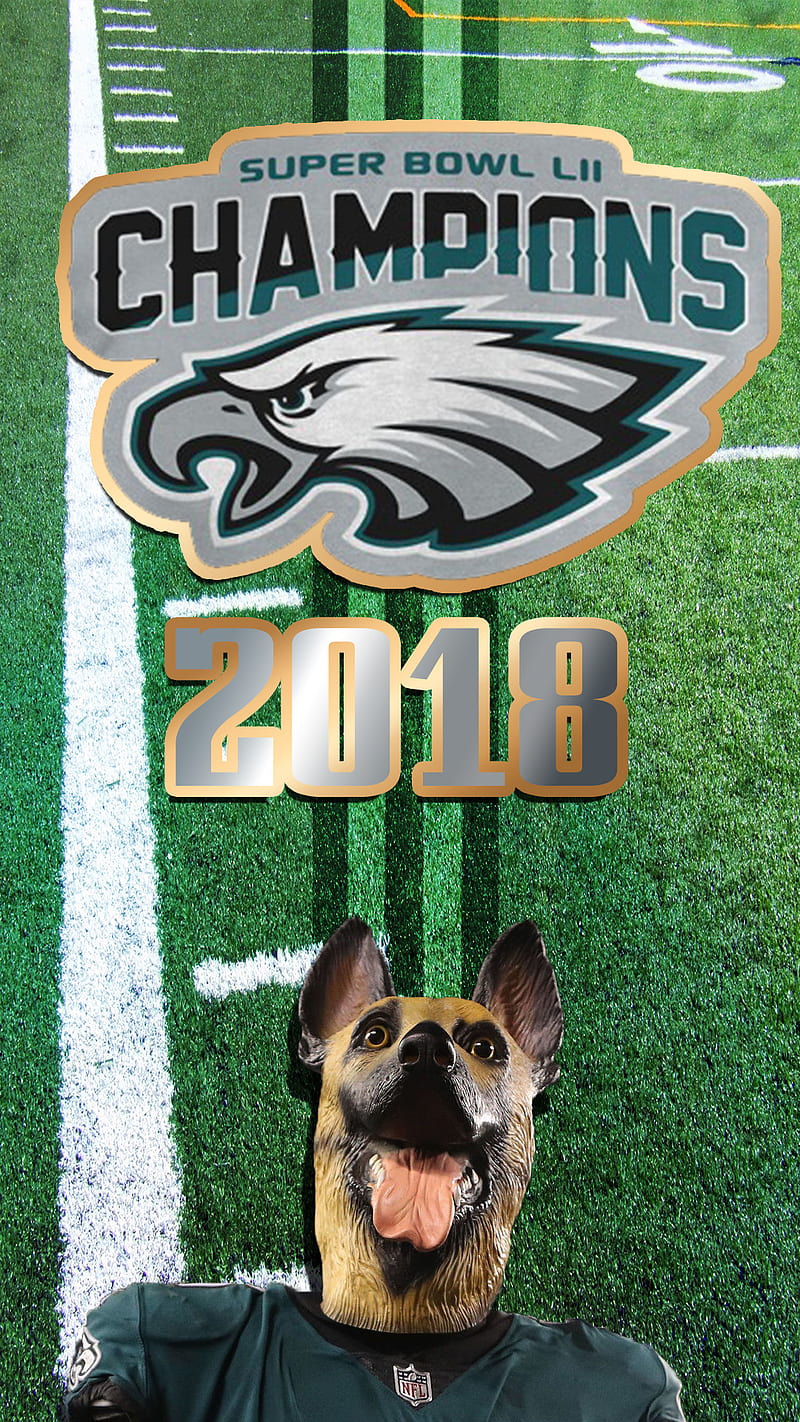 Philadelphia Eagles, underdog, superbowl, nfl, HD phone wallpaper Peakpx