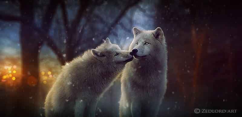 Evening Fog, fantasy, abstract, wolves, fog, HD wallpaper | Peakpx