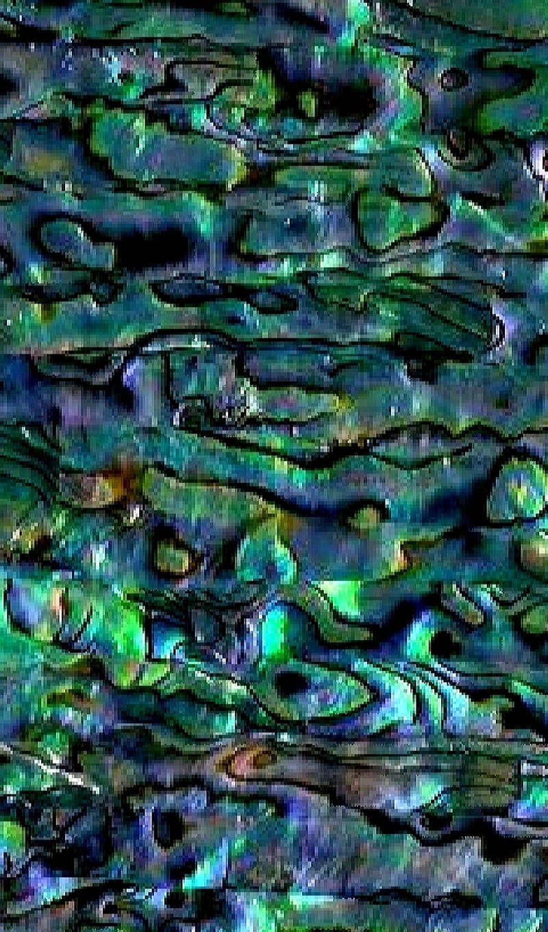 HD abalone wallpapers | Peakpx