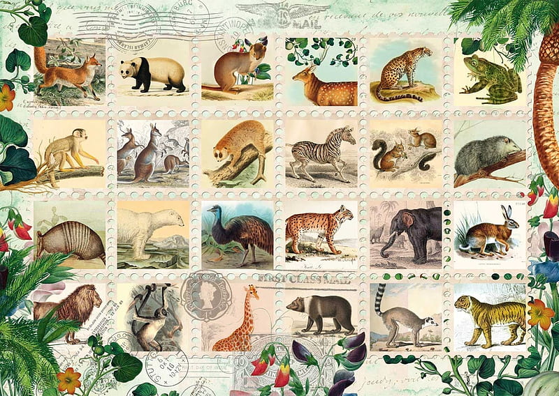 Animals, collage, life, wild, animal, HD wallpaper | Peakpx