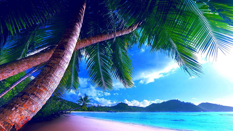 Glorious tropical beach r, beach, r, tropical, sea, palms, HD wallpaper ...