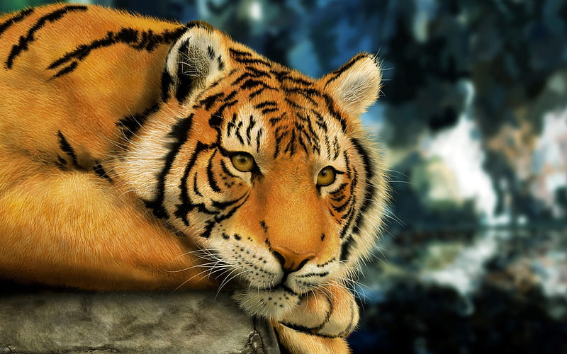 CROUCHING TIGER, majestic, bonito, tiger, gorgeous, HD wallpaper