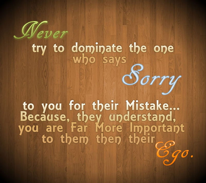 Sorry, cool, ego, important, mistake, nice, sayings, wise, words, HD wallpaper