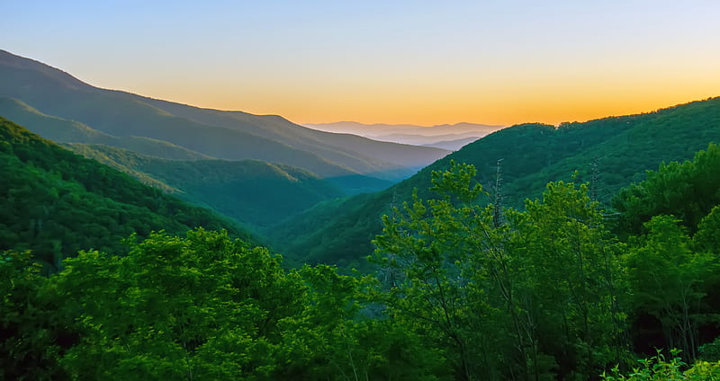 Morning After in Blue Ridge Mountains, Mountains, Trees, Sky, Forests, National Parks, Sunrise, Nature, HD wallpaper