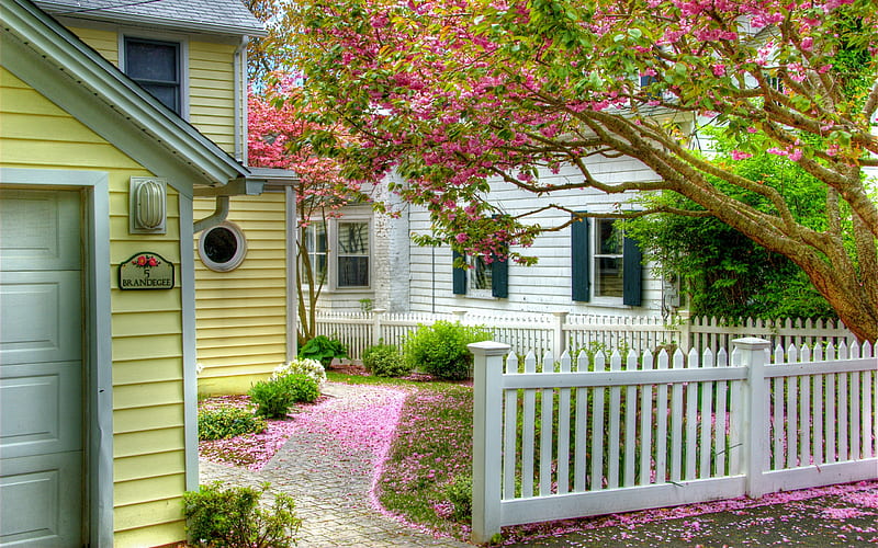 Spring Time, architecture, fence, pretty, colorful, house, grass, home, bonito, carpet, blossom, green, flowers, beauty, pink, lovely, view, houses, colors, spring, white picket fence, trees, windows, tree, peaceful, nature, alley, HD wallpaper