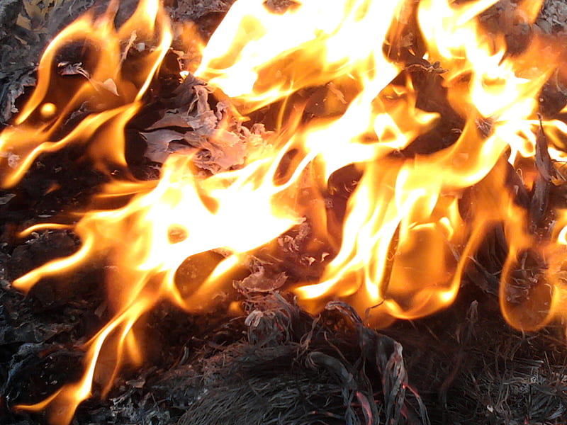 Fire, new, hot, HD wallpaper | Peakpx