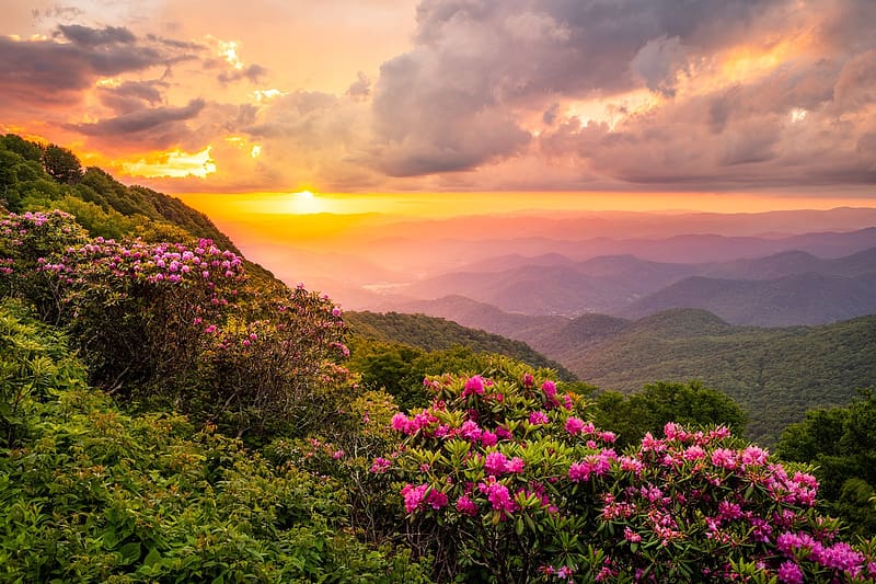 The Craggies in the Blue Ridge Mountains, slope, view, beautiful, sky, sunset, mountain, spring, wildflowers, summer, clouds, HD wallpaper