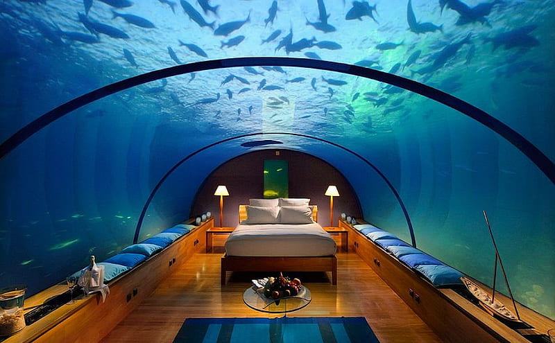 Amazing room, table, underwater, rug, amazing, tables, romantic, fish, lamps, fruits, wooden floors, bed, ambiance, flowers, fish tank, sheet, pillows, HD wallpaper