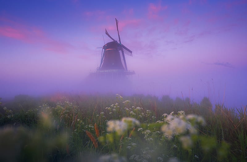 Netherlands Traditional Windmill Morning Mist Ultra, Europe, Netherlands, Nature, Windmills, Mist, Foggy, amsterdam, History, earlymorning, zaanseschans, HD wallpaper