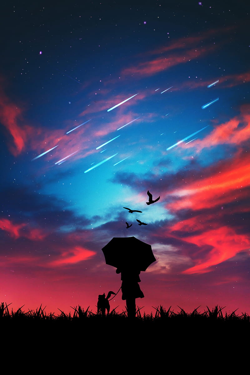silhouette, dark, walk, the sky, bright, stargazin, HD phone wallpaper