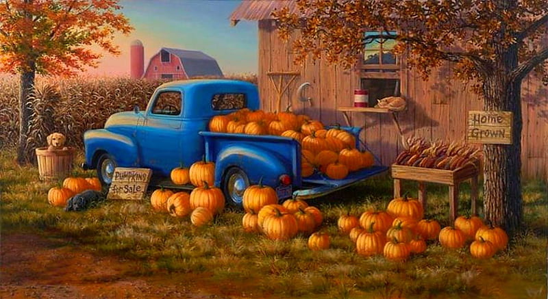 Home grown, halloween, home, bonito, magic, grown, farm, fruit, octobre, splendor, pumpkin, car, blue, harvest, lovely, trees, farmhouse, peaceful, HD wallpaper