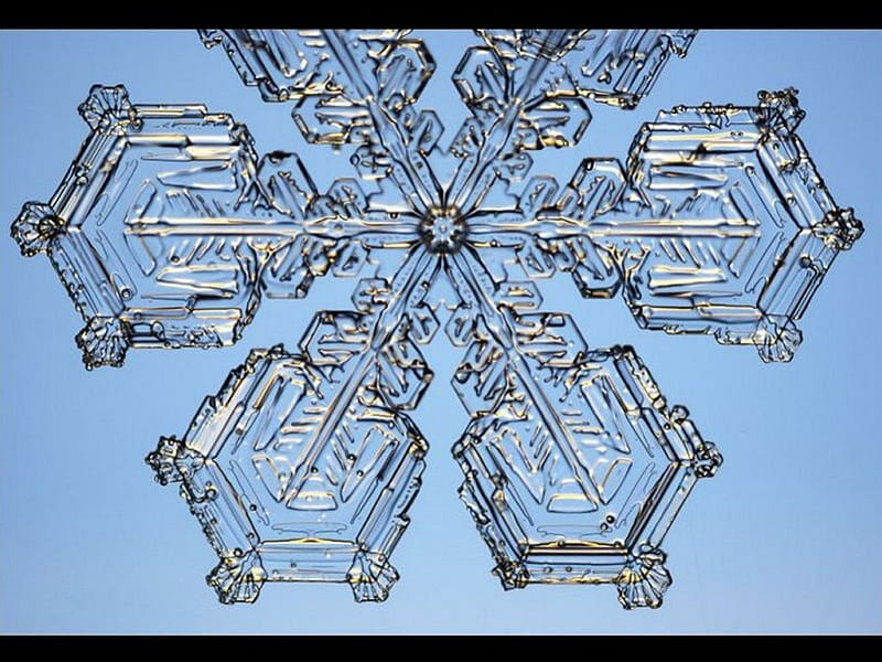 Snow Crystal, decoration, winter, HD wallpaper