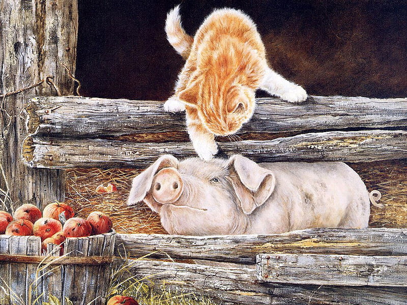 Scratch my head, please!!, apple, art, pig, head, cat, sweet, cute, feline, painting, kitten, friends, HD wallpaper