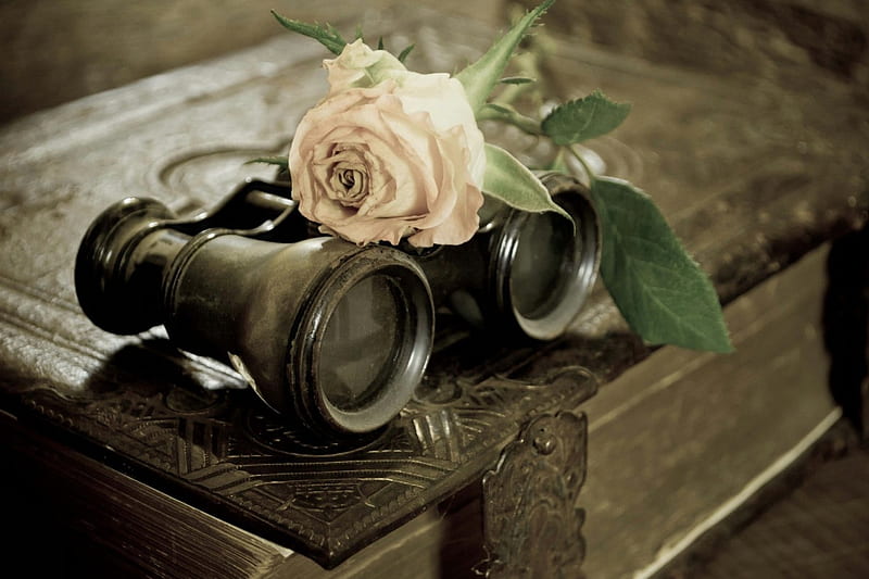 Still Life, binoculars, blossom, rose, book, vintage, HD wallpaper