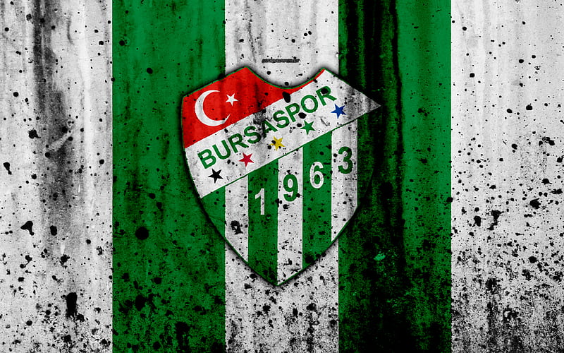 FC Bursaspor Super Lig, logo, Turkey, soccer, football club, grunge, Bursaspor, art, stone texture, Bursaspor FC, HD wallpaper