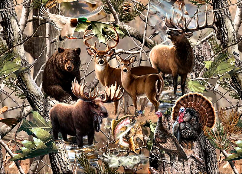 Open Season, art, moose, bear, bonito, illustration, artwork, deer, animal, duck, turkey, elk, painting, wide screen, wildlife, nature, HD wallpaper
