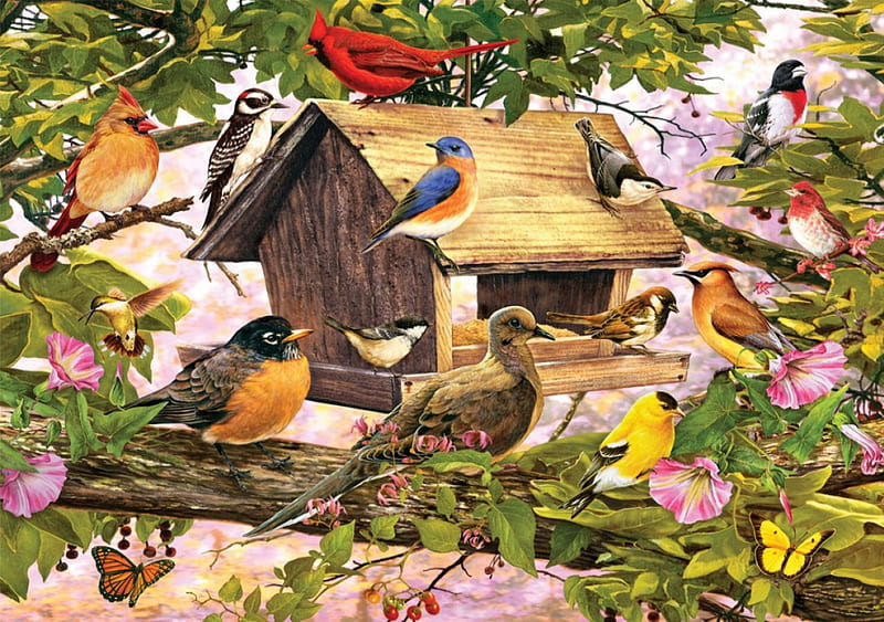 Songbirds at the Birdfeeder F1, art, robin, grosbeak, songbirds, housefinch, artwork, animal, cardinals, nuthatch, bird, avian, painting, wide screen, wildlife, goldfinch, HD wallpaper