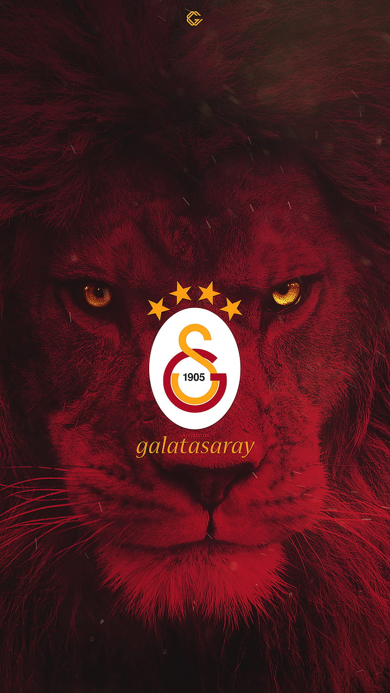 Aslan Galatasray, gala, galacreative, galata, galatasaray, gs, lion, saray, ultraslan, HD phone wallpaper