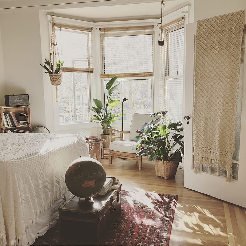 brown wooden framed white padded chair in between green indoor leaf plants inside bedroom, HD phone wallpaper