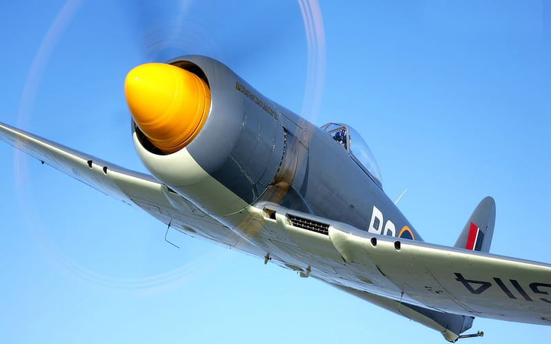 Hawker Sea Fury~ WWII, USA, Military, Aircraft, WWII, HD wallpaper