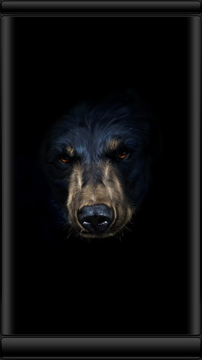 BLACK BEAR, bears, grizzly, wild, HD phone wallpaper