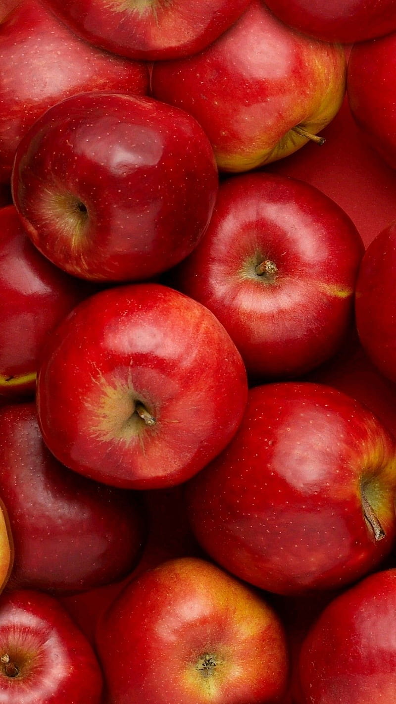 Red apples. Red apple, Fruit , Fruit graphy, HD phone wallpaper