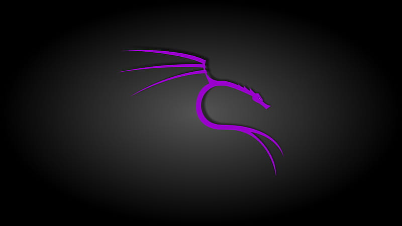 Black and Purple Kali Linux, operating system, technology, linux, kali, HD wallpaper