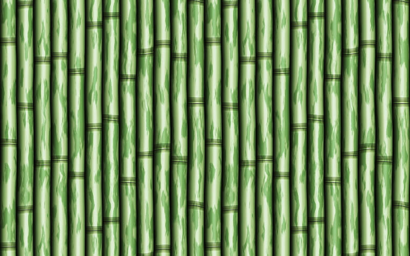 green bamboo texture bamboo textures, bamboo canes, green wooden background, bamboo, HD wallpaper