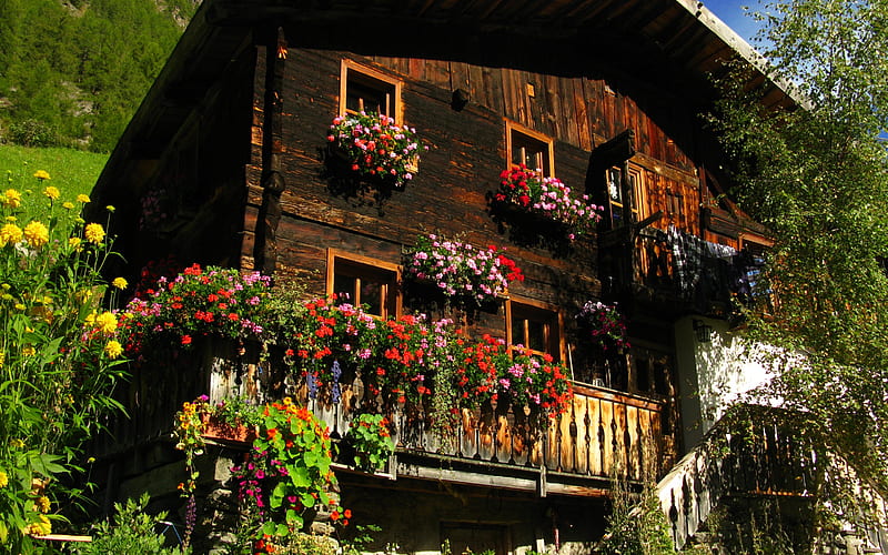 Beautiful Mountain Cabin, mountain, architecture, flowers, bonito, cabin, scenery, wooden, HD wallpaper